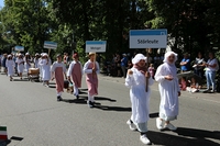 IMG 9517