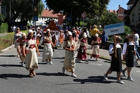 IMG 9610