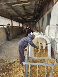 bef48d93ae14fa69 threema 20251021 145157025