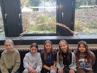 threema 20251021 150743421